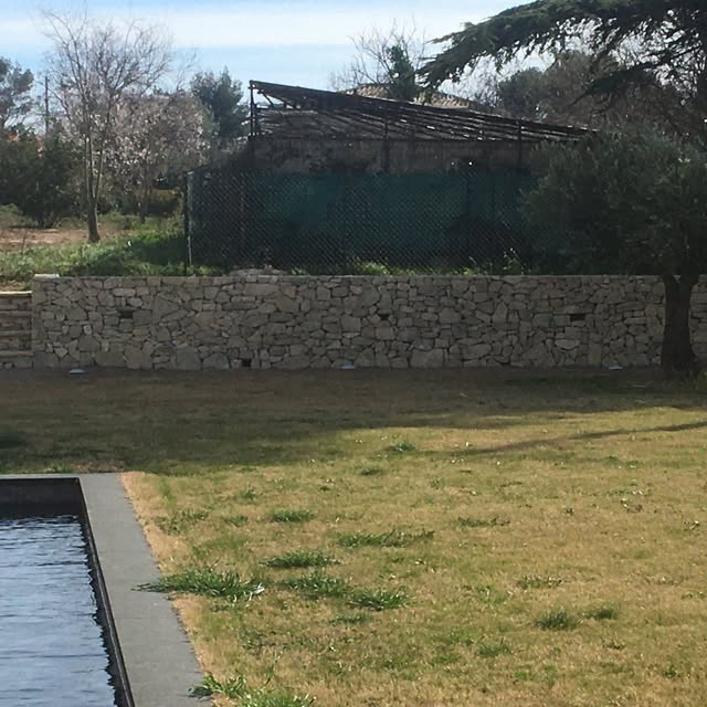 Un mur en pierre robuste et esthétique qui structure le jardin.